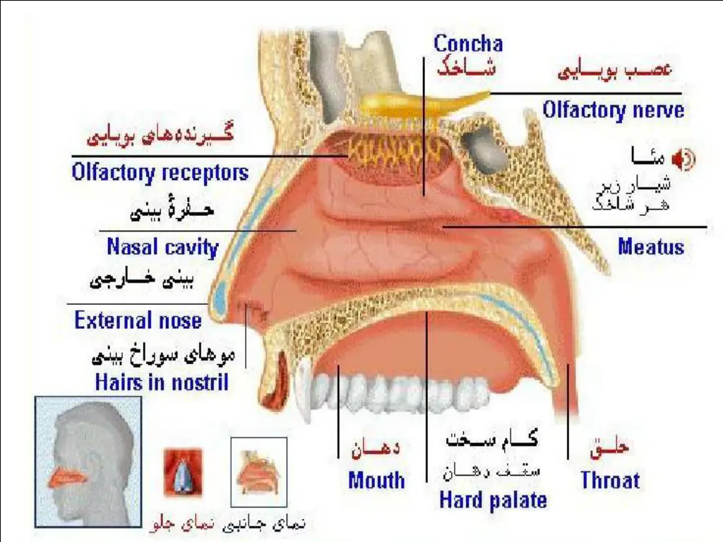 slide5