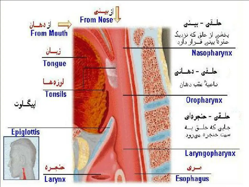 slide6