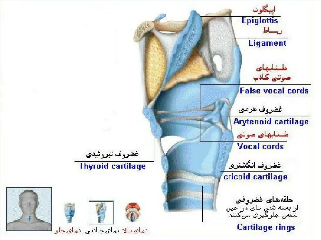 slide8