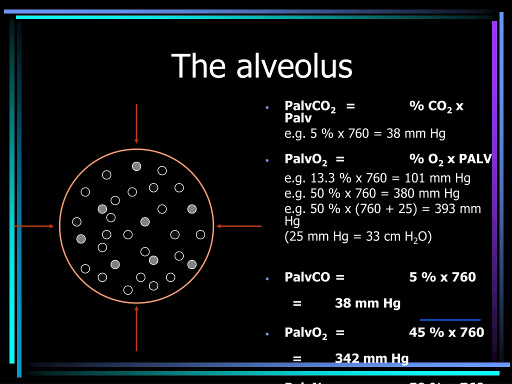 the alveolus