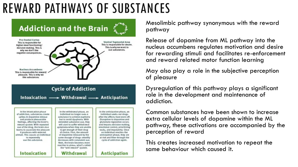 reward pathways of substances