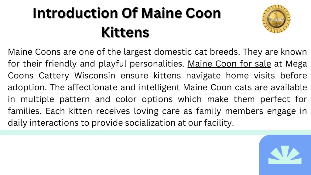 introduction of maine coon introduction of maine