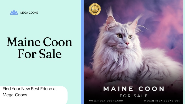 mega coons