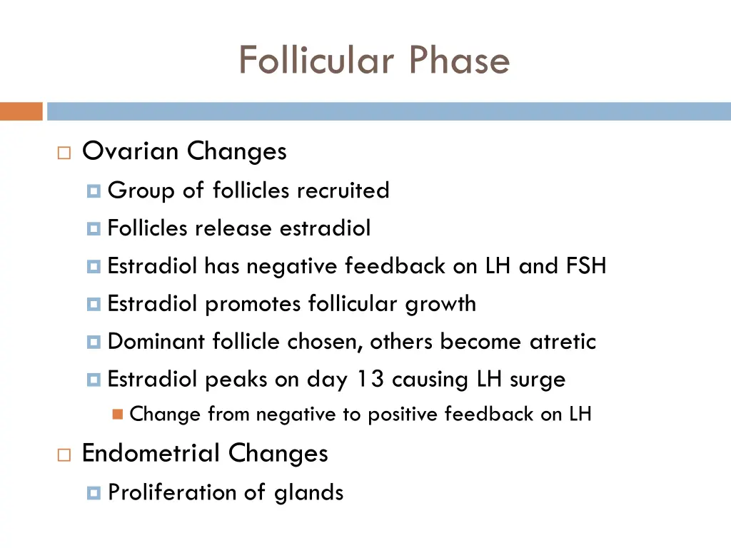 follicular phase