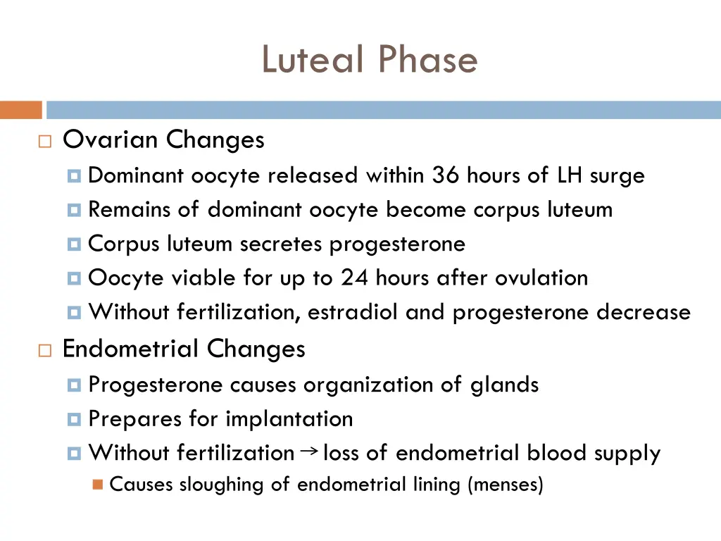 luteal phase