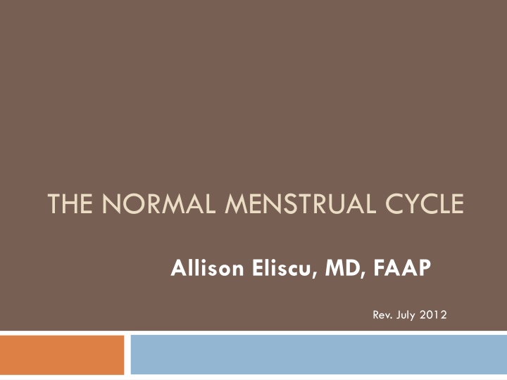 the normal menstrual cycle