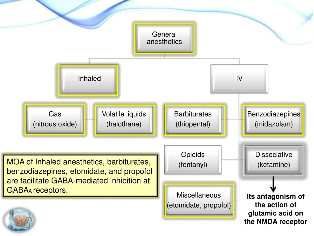 general anesthetics