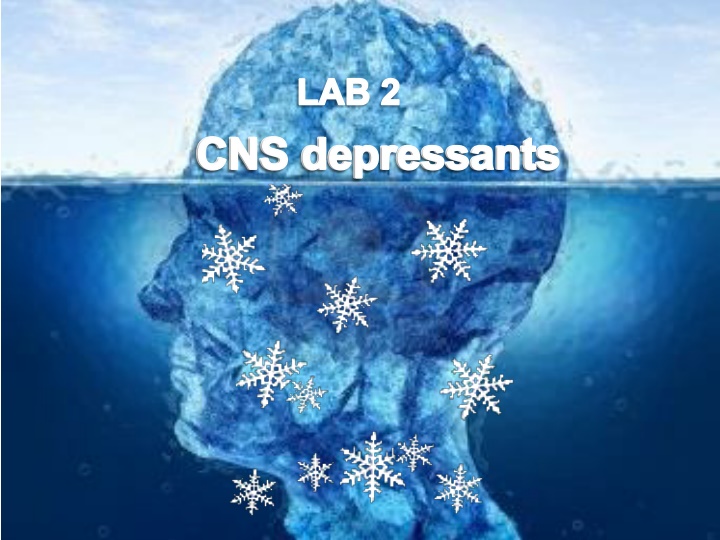 lab 2