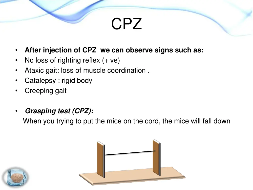 slide19