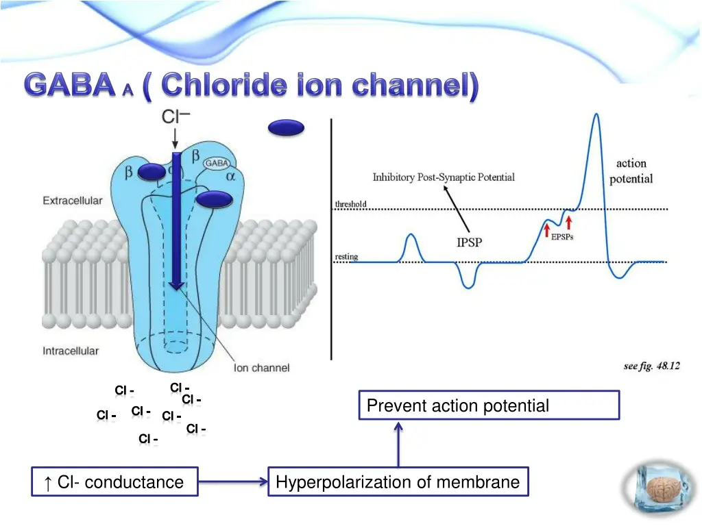 slide8