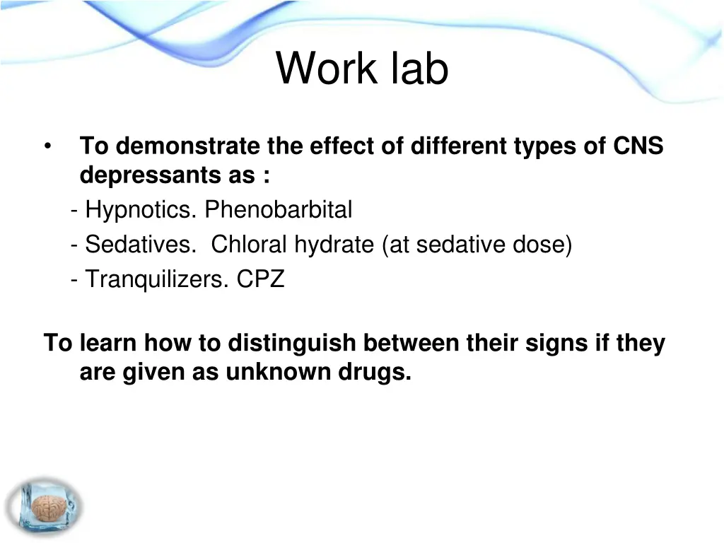 work lab