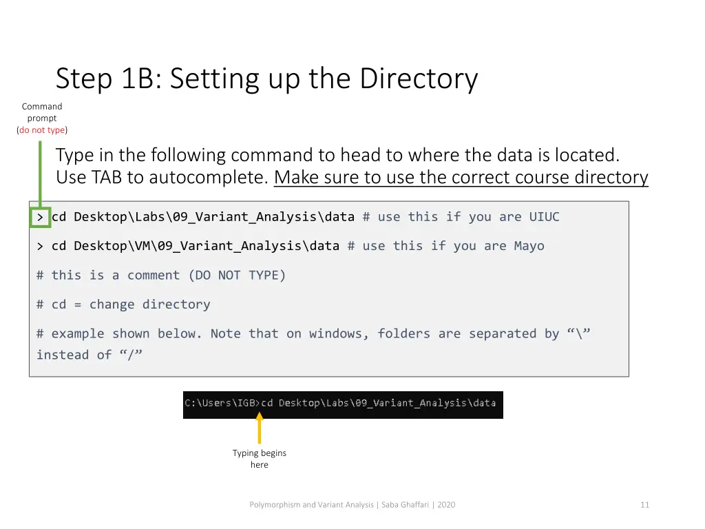 step 1b setting up the directory