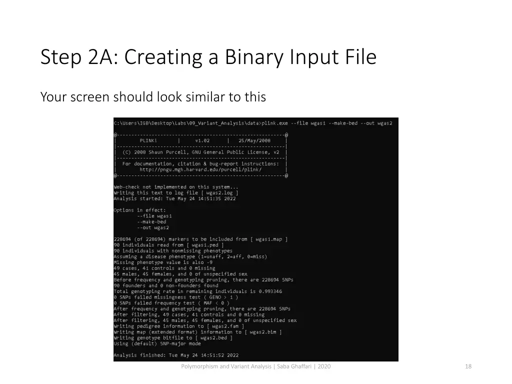 step 2a creating a binary input file 1