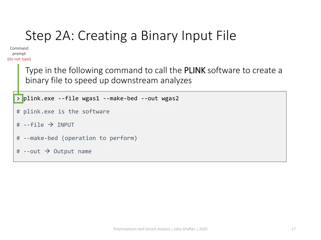 step 2a creating a binary input file