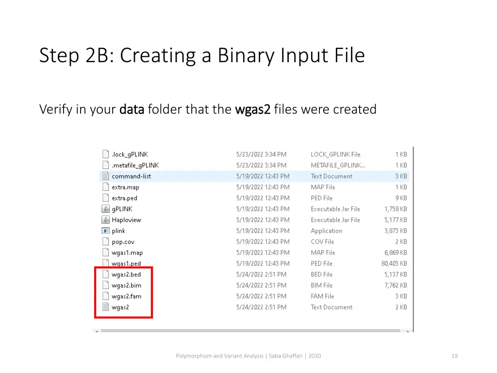 step 2b creating a binary input file