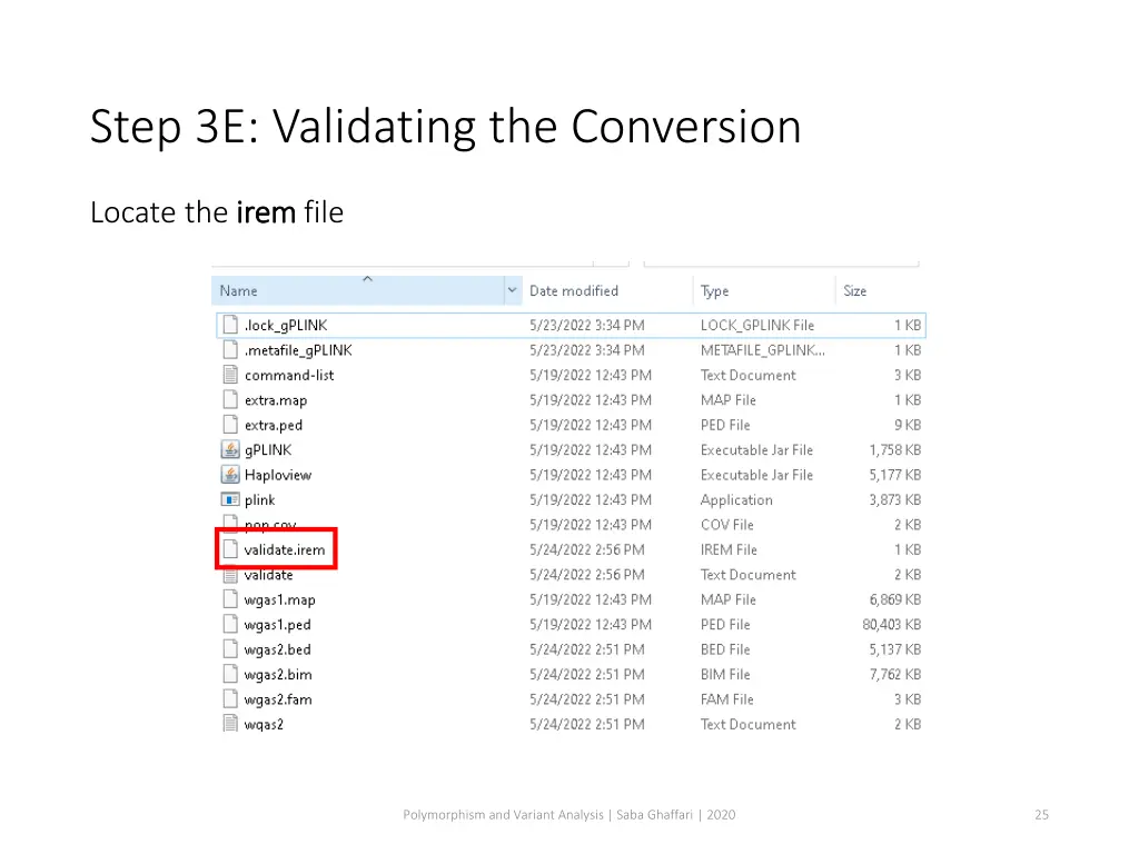 step 3e validating the conversion