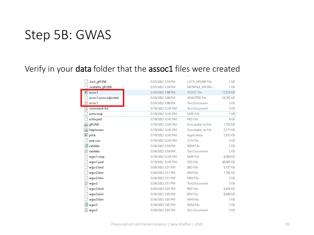 step 5b gwas