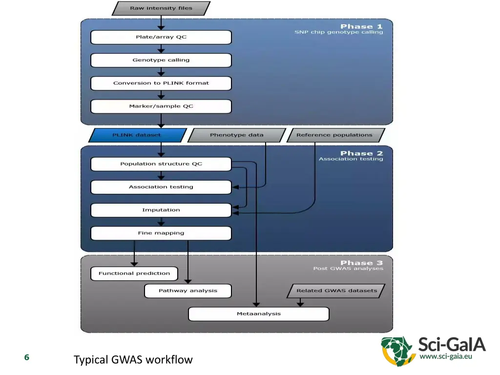 slide6