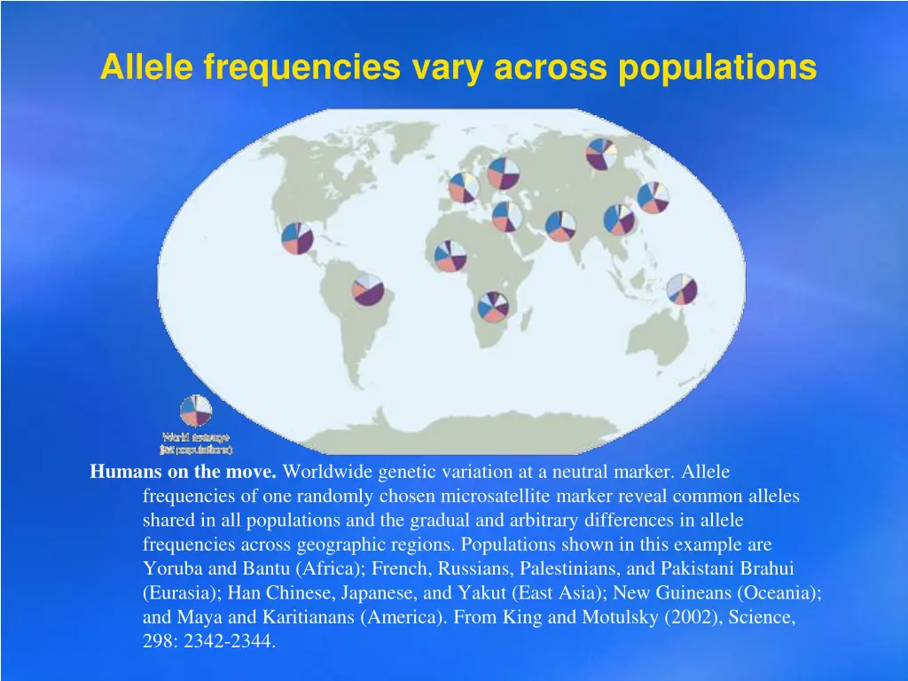 allele frequencies vary across populations