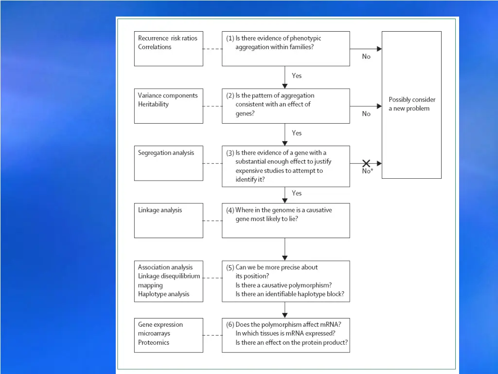 slide8