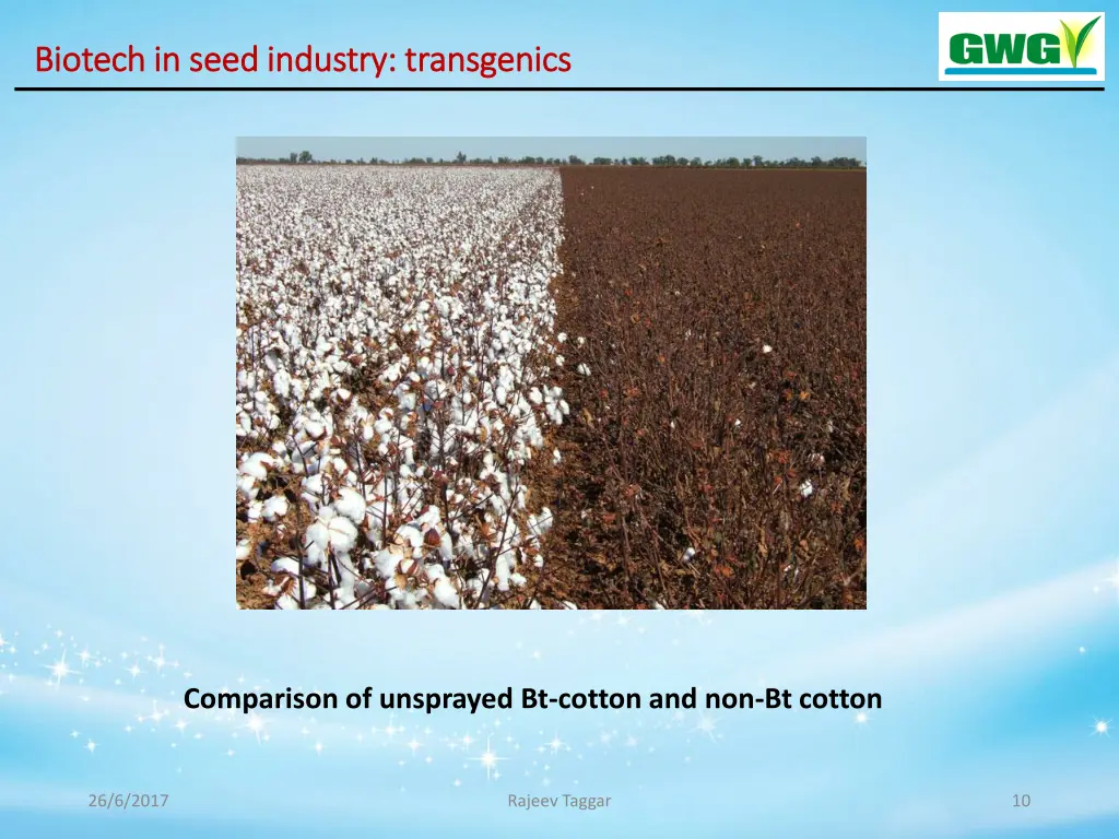 biotech in seed industry biotech in seed industry