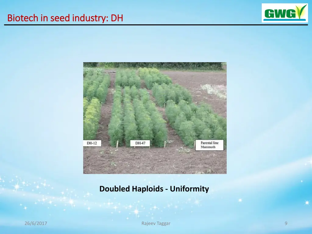 biotech in seed industry dh biotech in seed