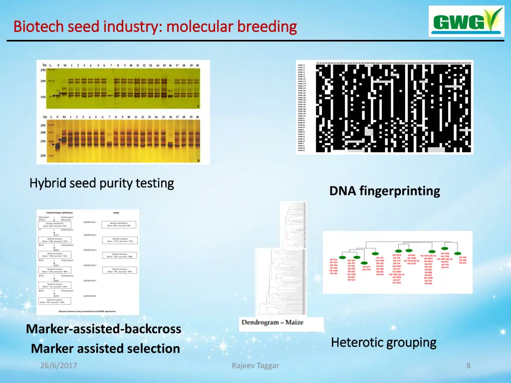 biotech seed industry molecular breeding biotech