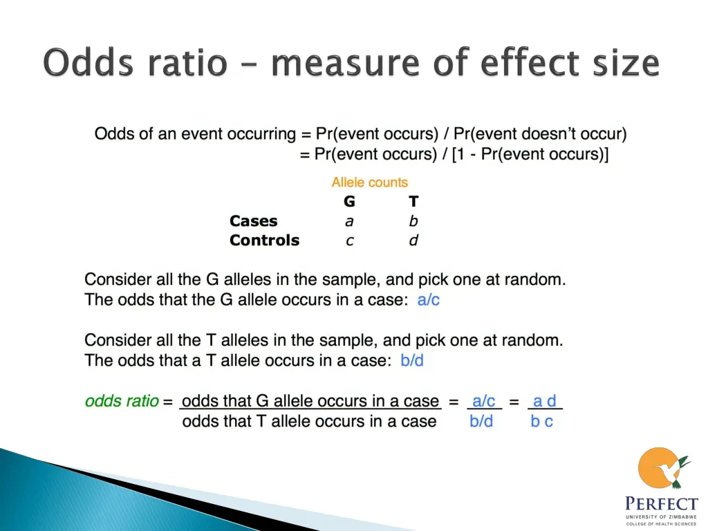 slide13