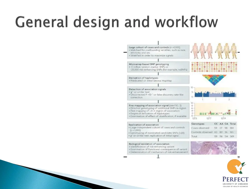slide6