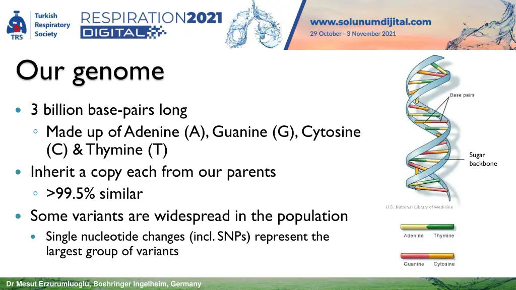 our genome