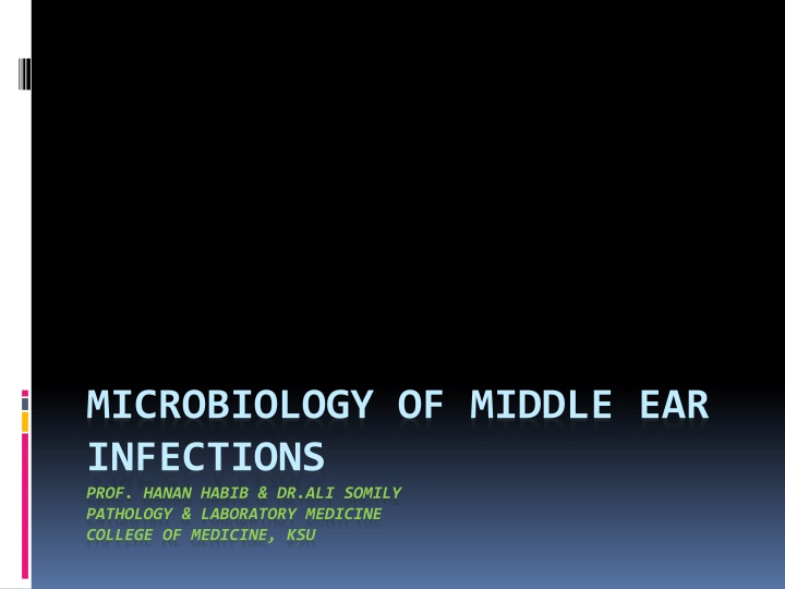 microbiology of middle ear infections prof hanan