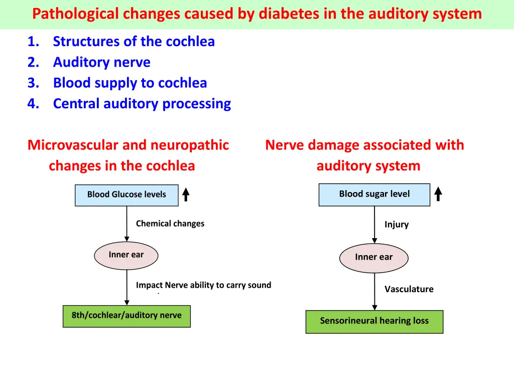 pathological changes caused by diabetes