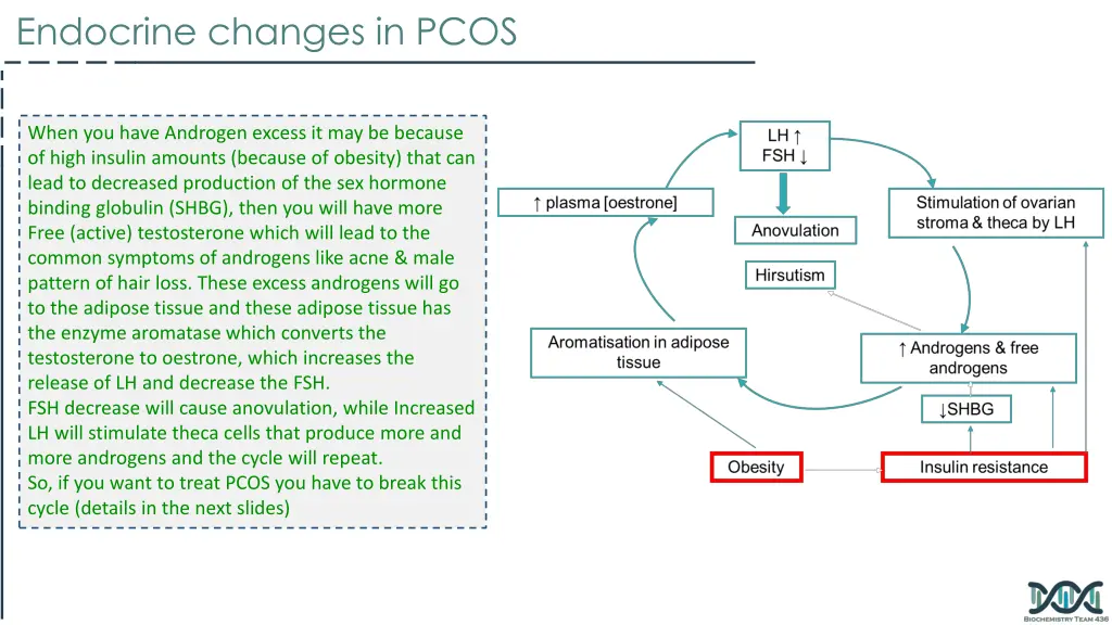 endocrine changes in pcos