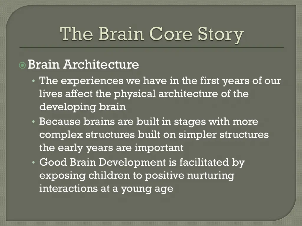 brain architecture the experiences we have