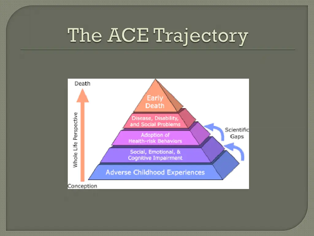 slide22