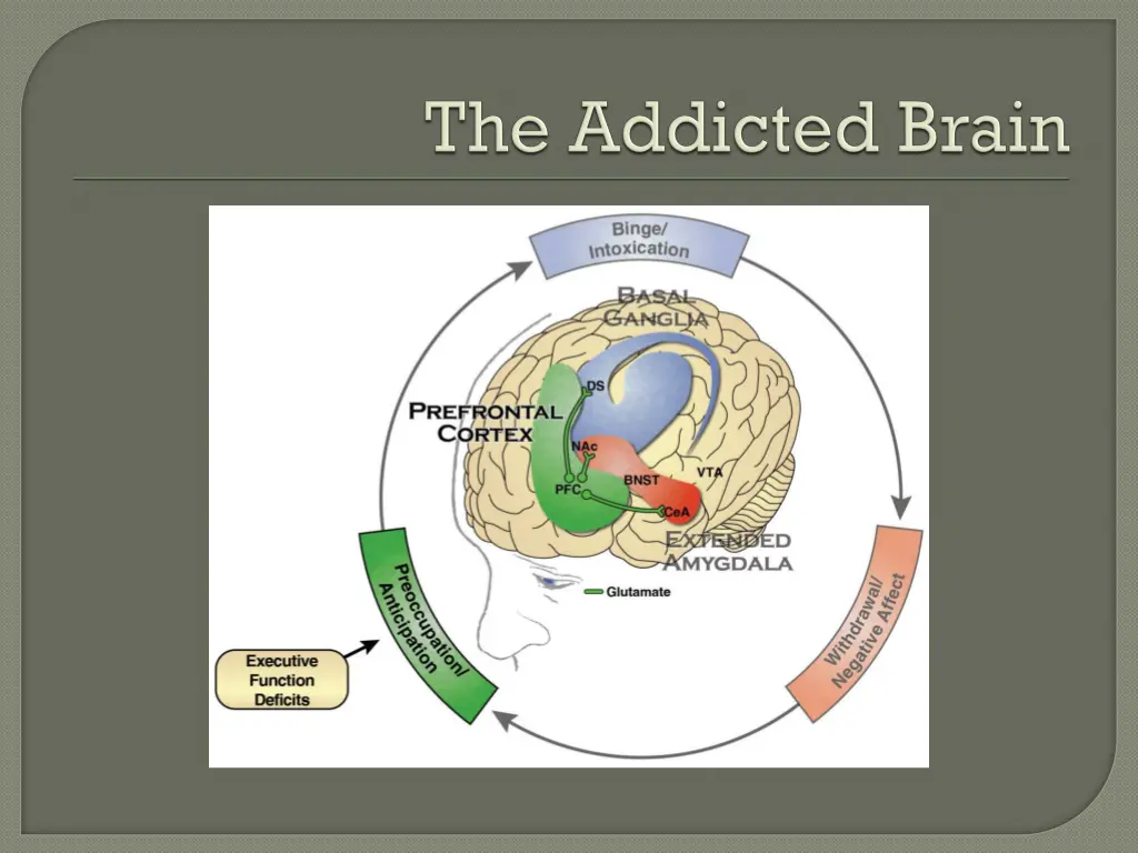 slide3