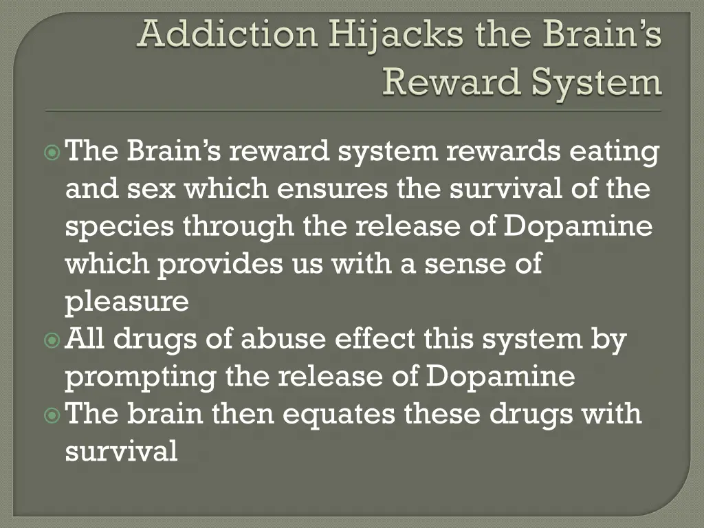 the brain s reward system rewards eating
