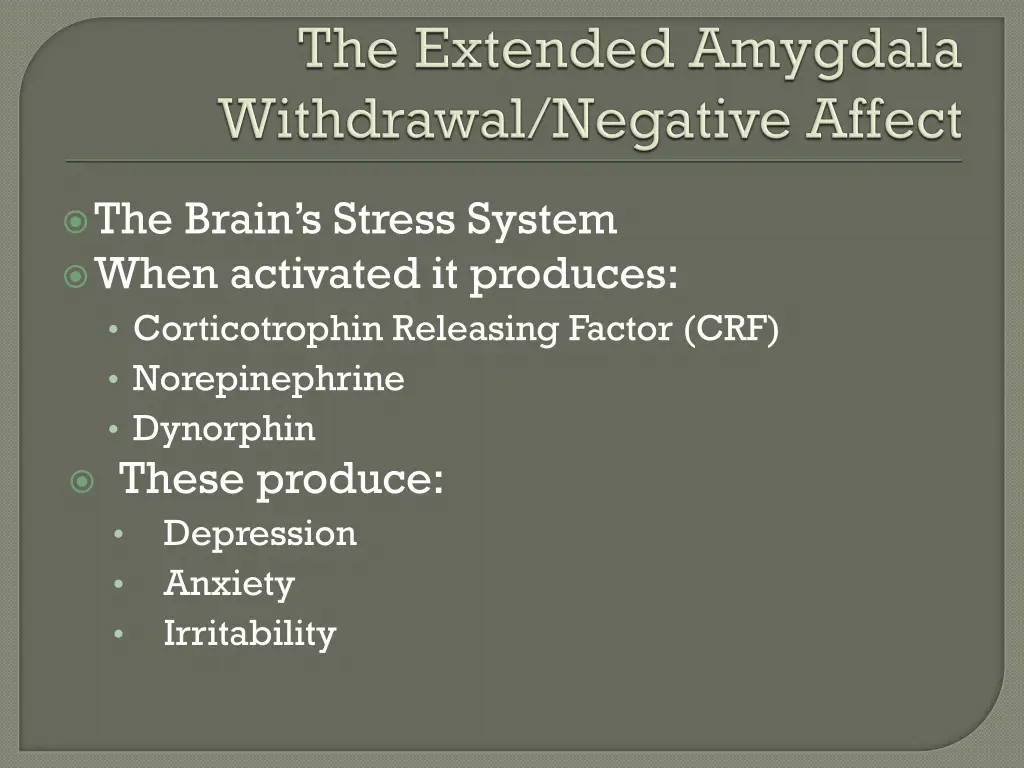 the brain s stress system when activated