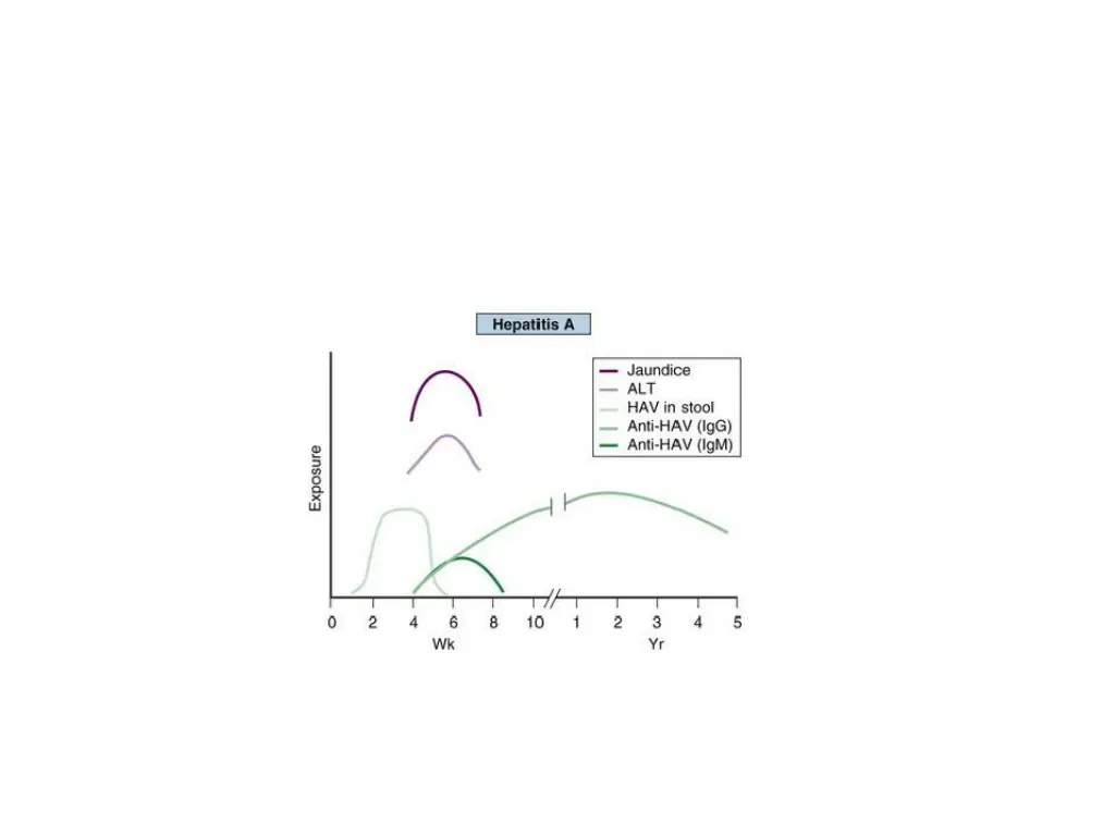 slide8