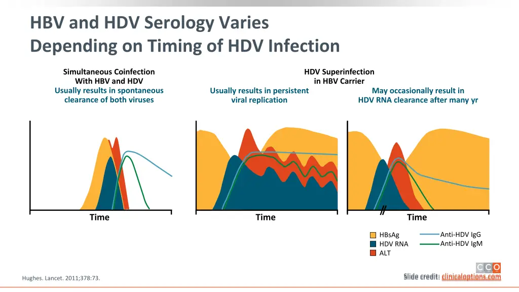 hbv and hdv serology varies depending on timing