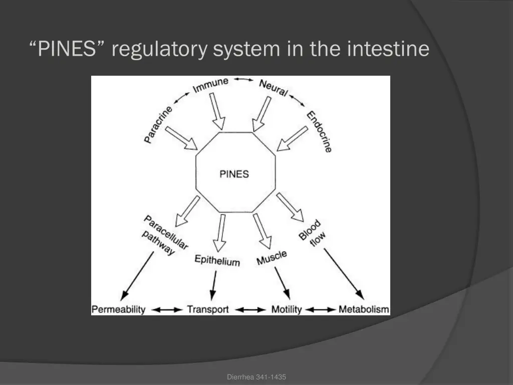 pines regulatory system in the intestine