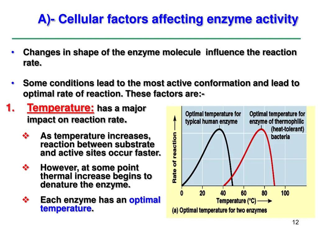 a cellular factors affecting enzyme activity