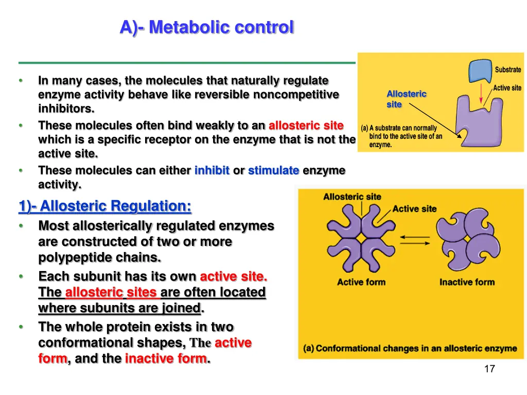 a metabolic control