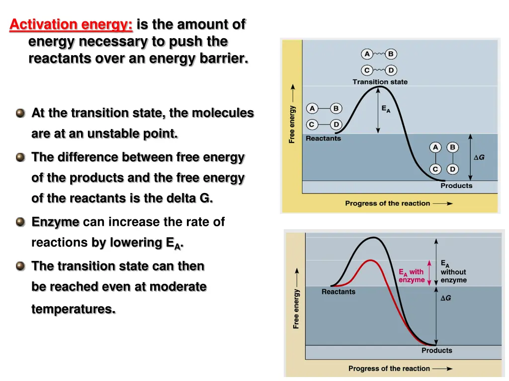 activation energy is the amount of energy