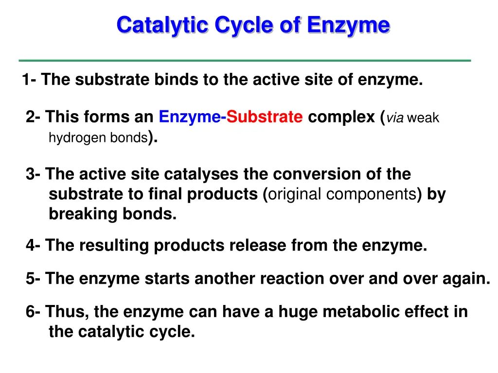 catalytic cycle of enzyme 1