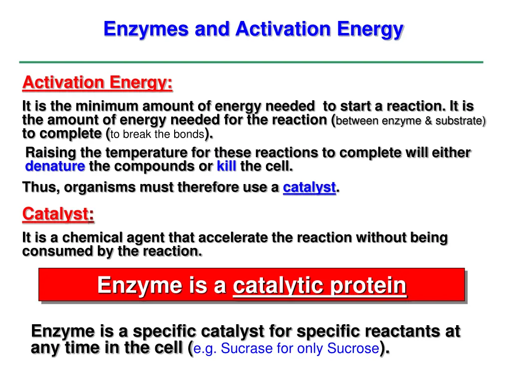 enzymes and activation energy