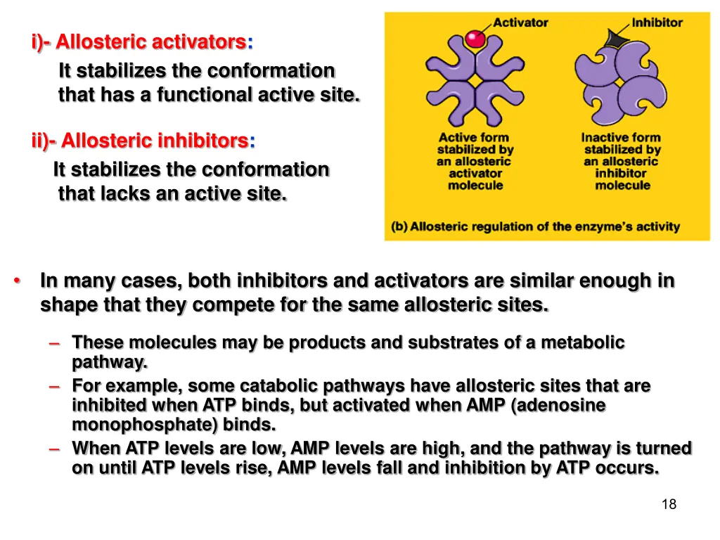 i allosteric activators it stabilizes