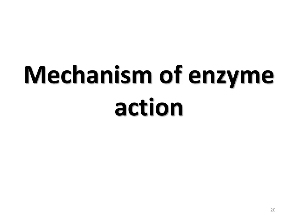 mechanism of enzyme action