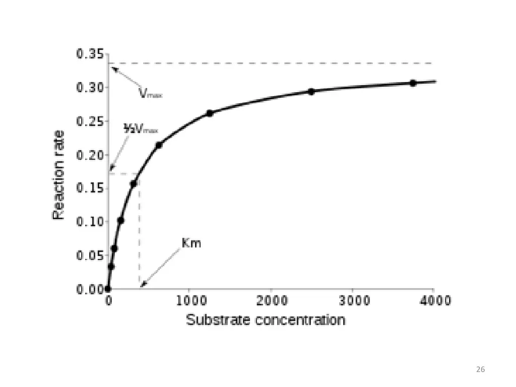 slide26