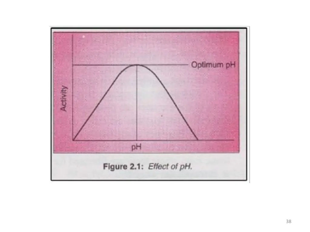slide38